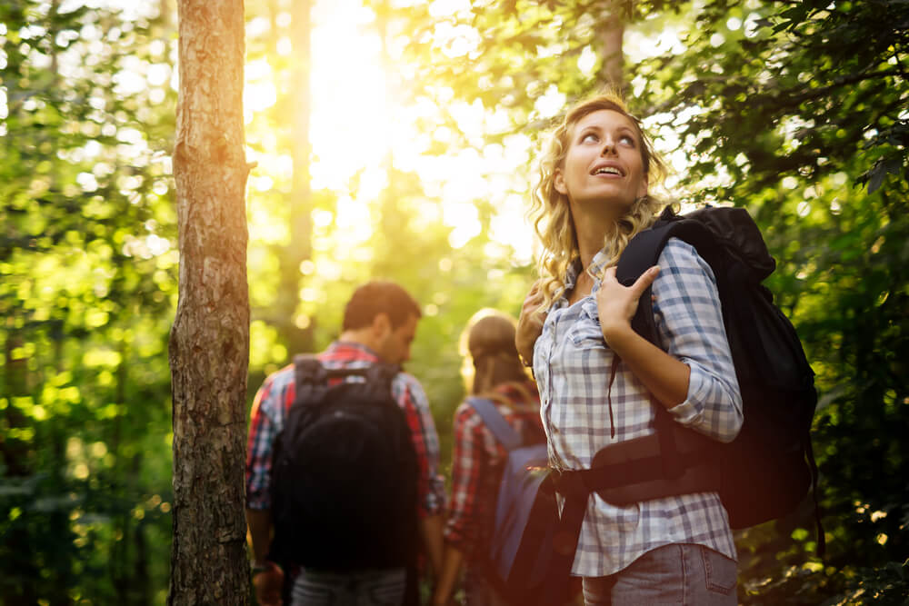 Explore the Outdoors on the Best Hiking Trails in Algonquin Park