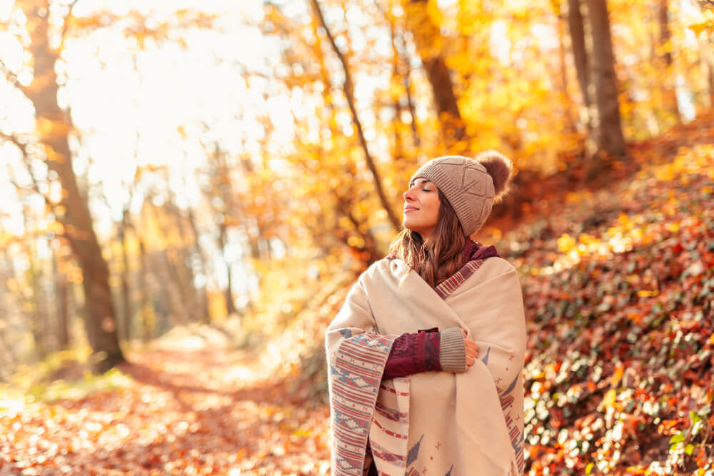 Go Leaf-Peeping to See the Best Algonquin Fall Colours