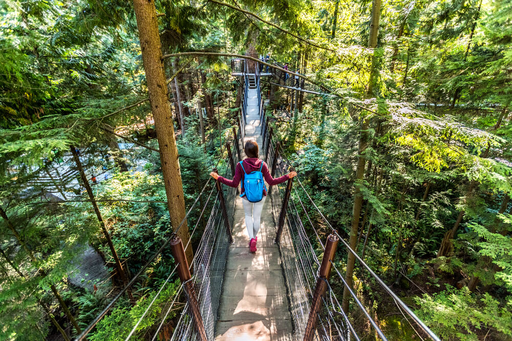 Plan a Day Trip to the Haliburton Forest and Wildlife Reserve